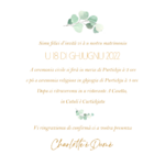 faire-part mariage couronne feuilles verso ok