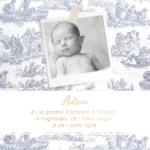 FP naissance toile de jouy bleu + couffin verso