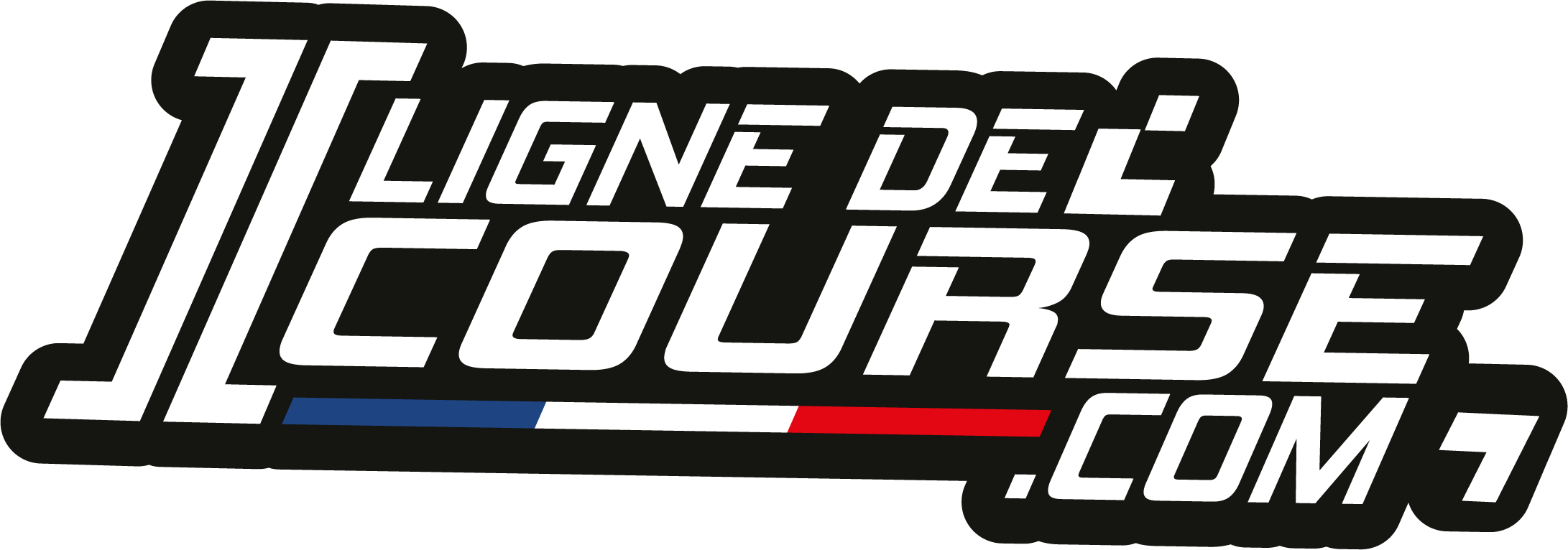 LOGO LDC