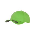 6277-freshgreen-front-av-14