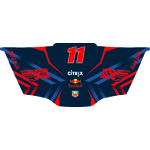 G29_REDBULL-01