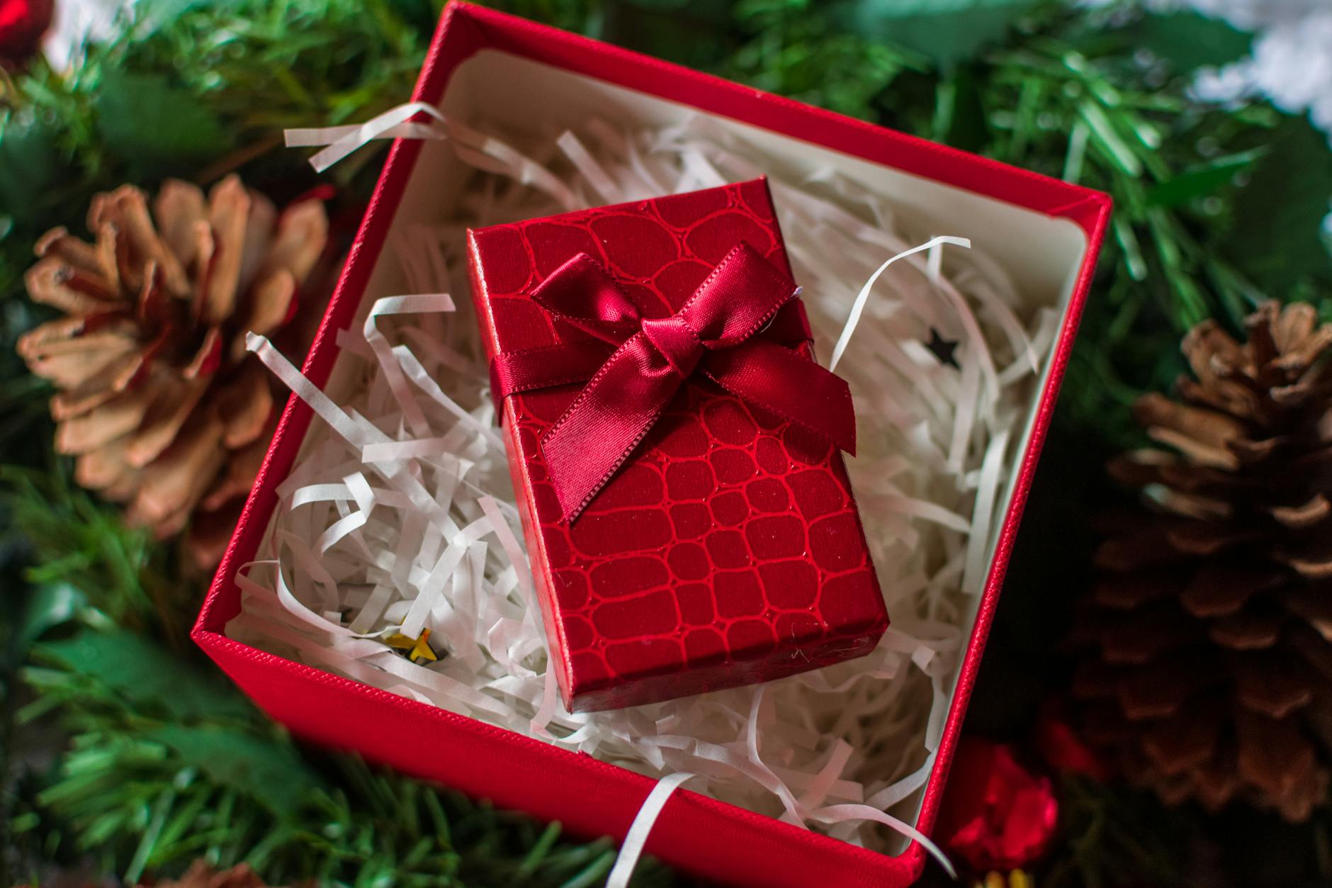 Un coffret cadeau rouge joliment emballé au milieu de pommes de pin et de verdure, parfait pour la décoration de Noël