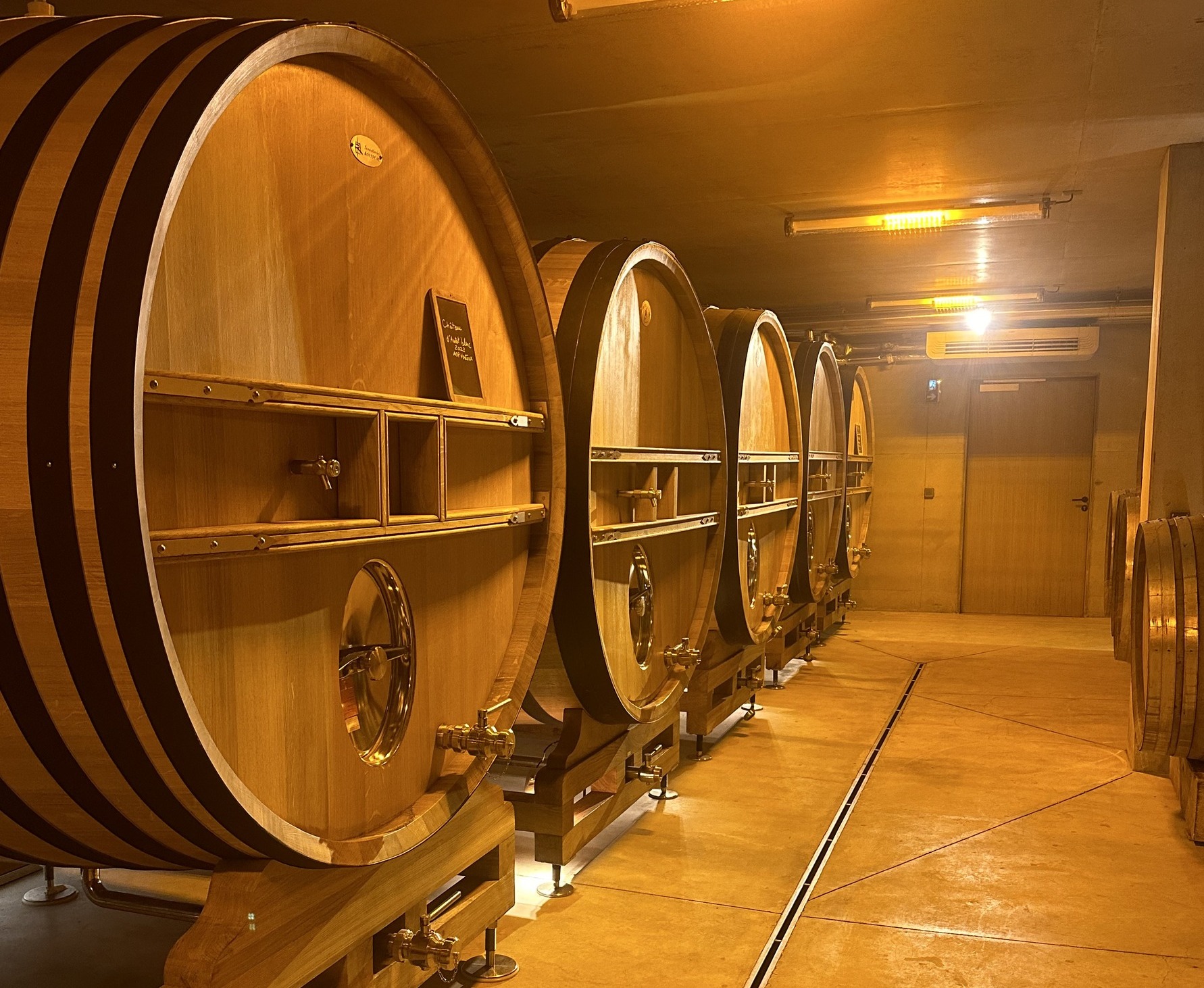 La Vinification : Définition et Étapes Clés