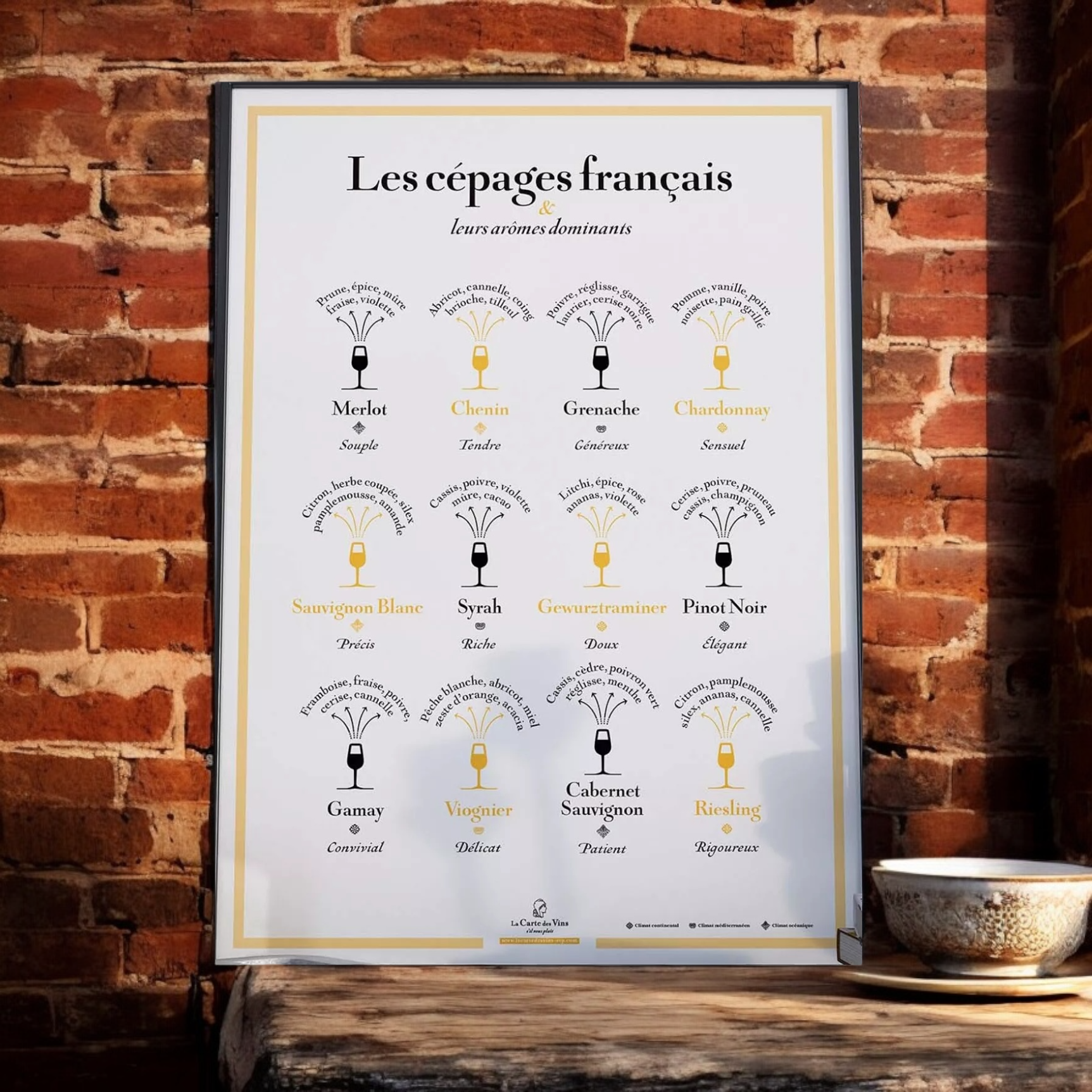 Carte des Cépages, Arômes Dominants – La Carte des Vins SVP