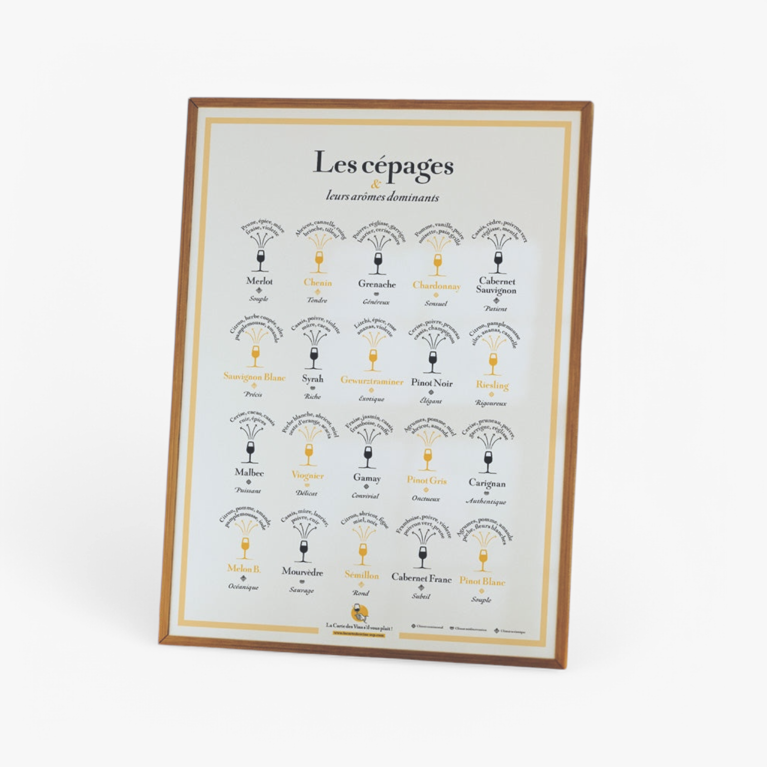 Carte des Cépages, Arômes Dominants – La Carte des Vins SVP