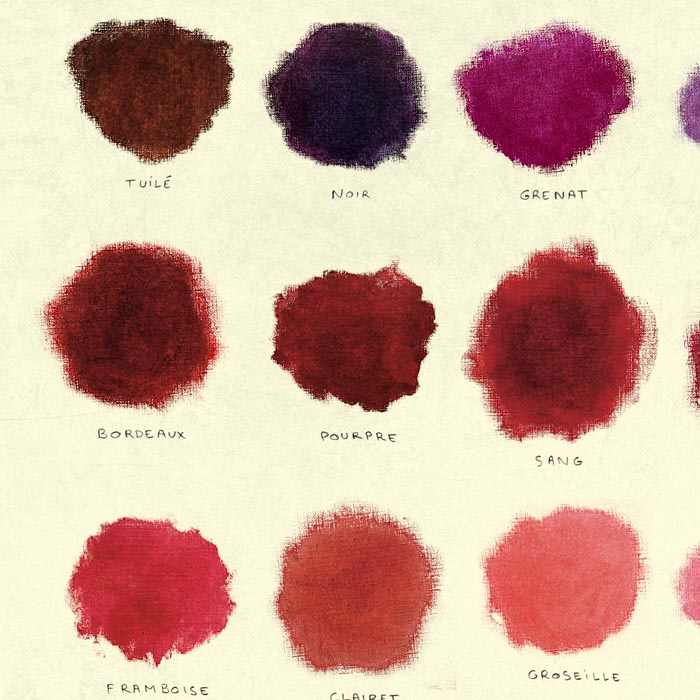 Les couleurs du vin : décodez-les comme un pro !