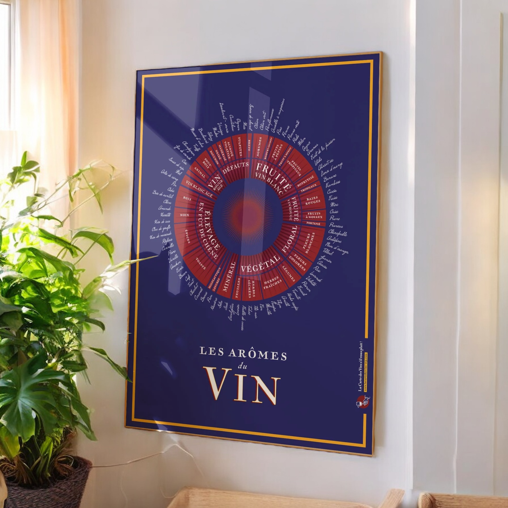 Affiche Roue des Arômes du Vin: Devenez un Expert en Dégustation
