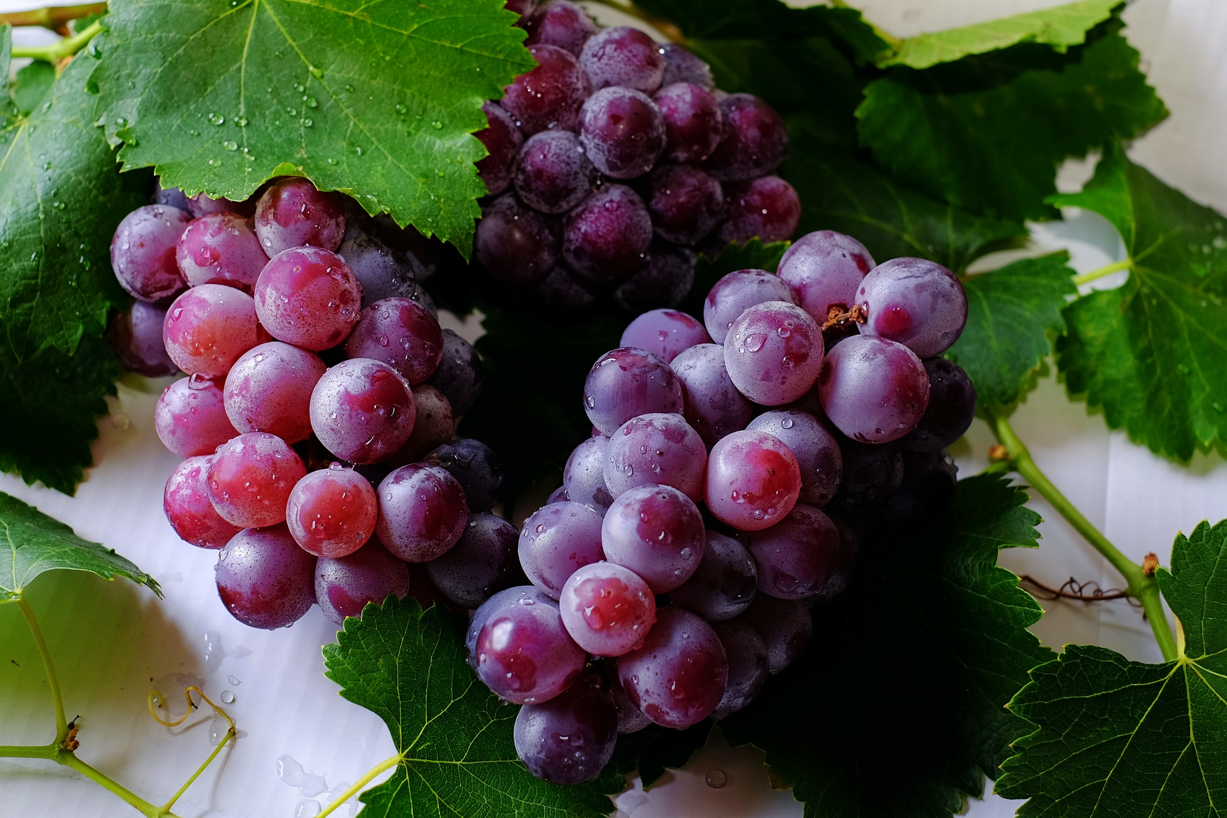 C'est quoi le tanin dans le vin ?