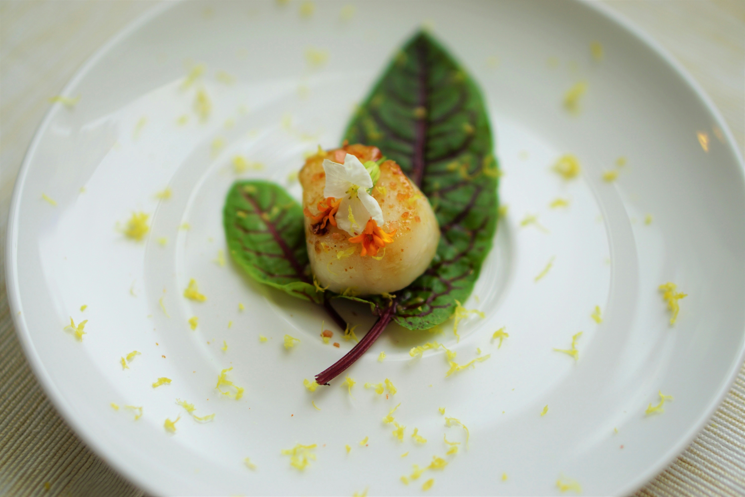 quels vins avec des saint jacques poelee au citron recette incluse