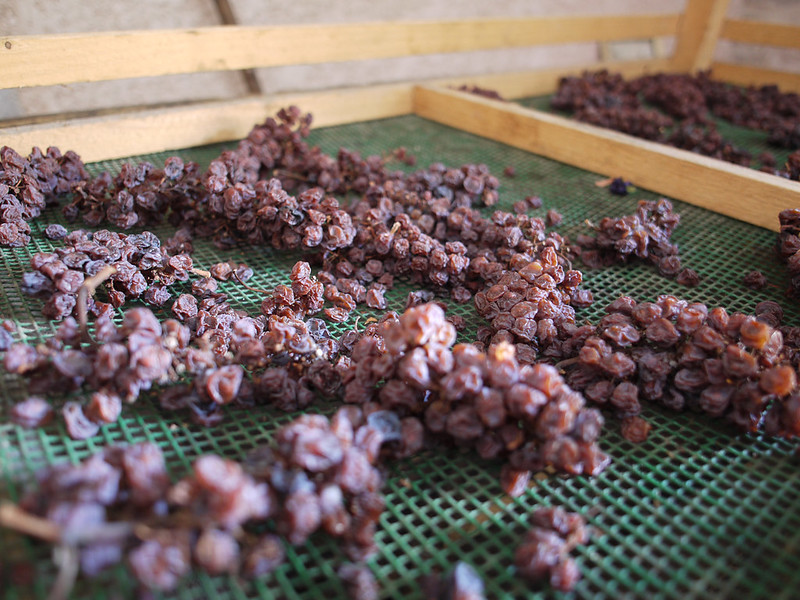 raisins sur claie