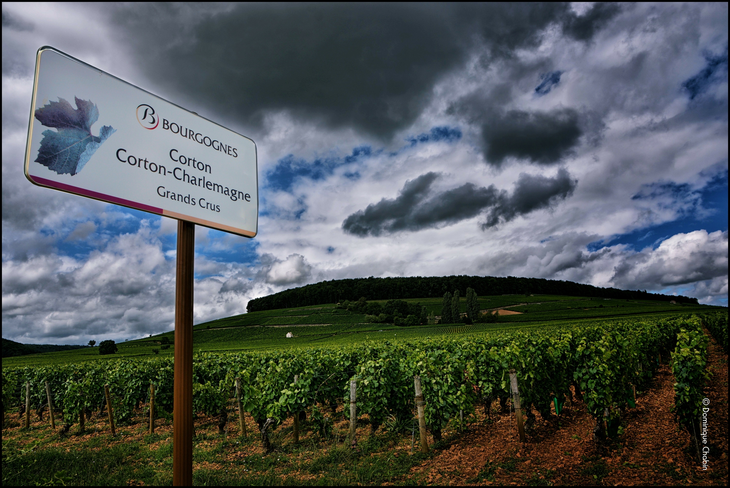 bourgogne grands crus