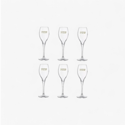 Flûtes Champagne “Champagne s’il vous plaît” – Lot de 6