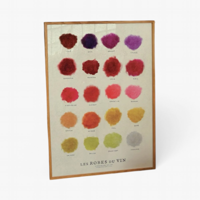 Les couleurs du vin : décodez-les comme un pro !