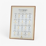 Carte des Cépages, Arômes Dominants – La Carte des Vins SVP