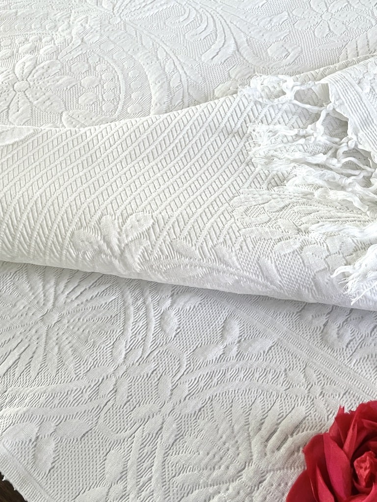 IMG_2717
