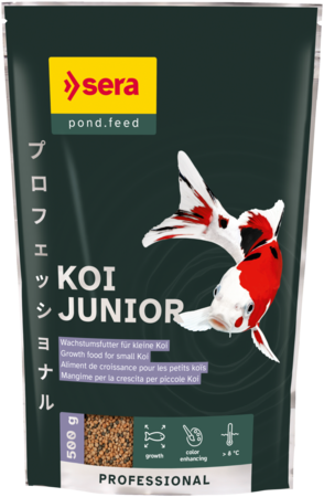 sera junior