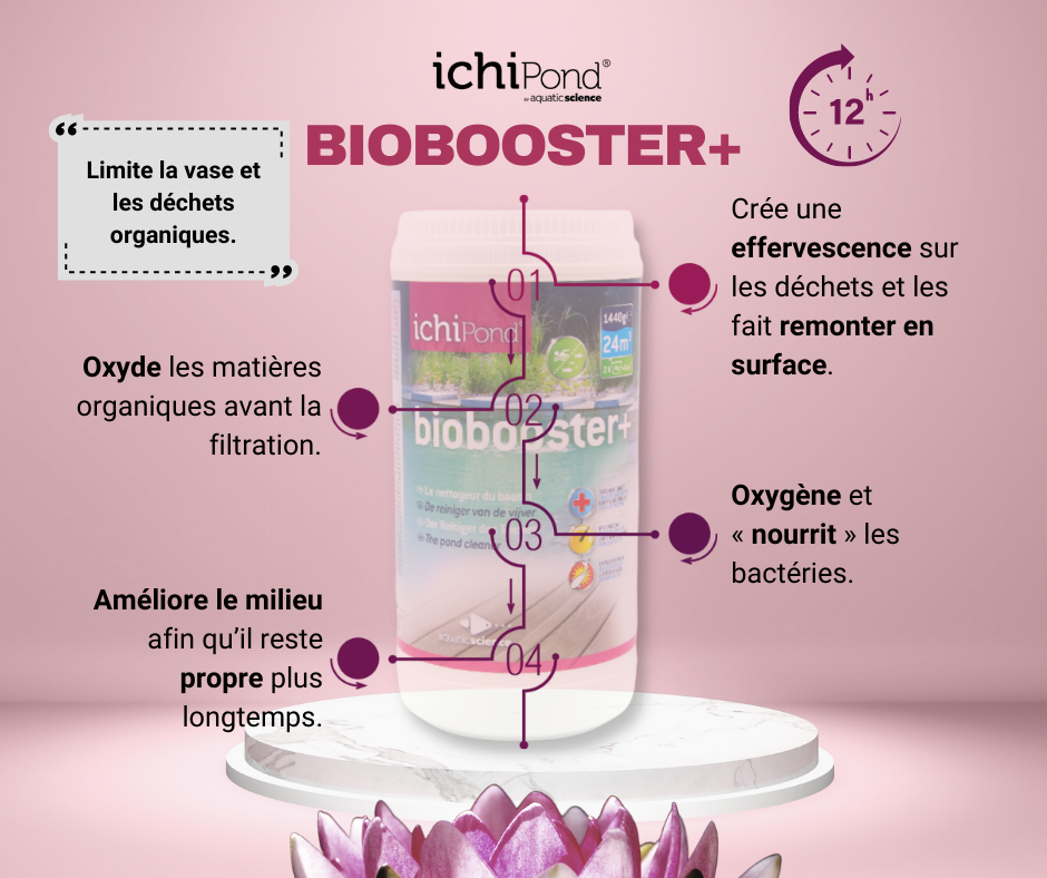 Biobooster transition