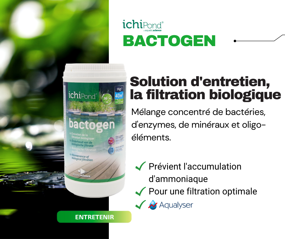 Bactogen 1