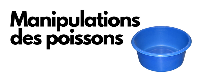 manipulations des poissons