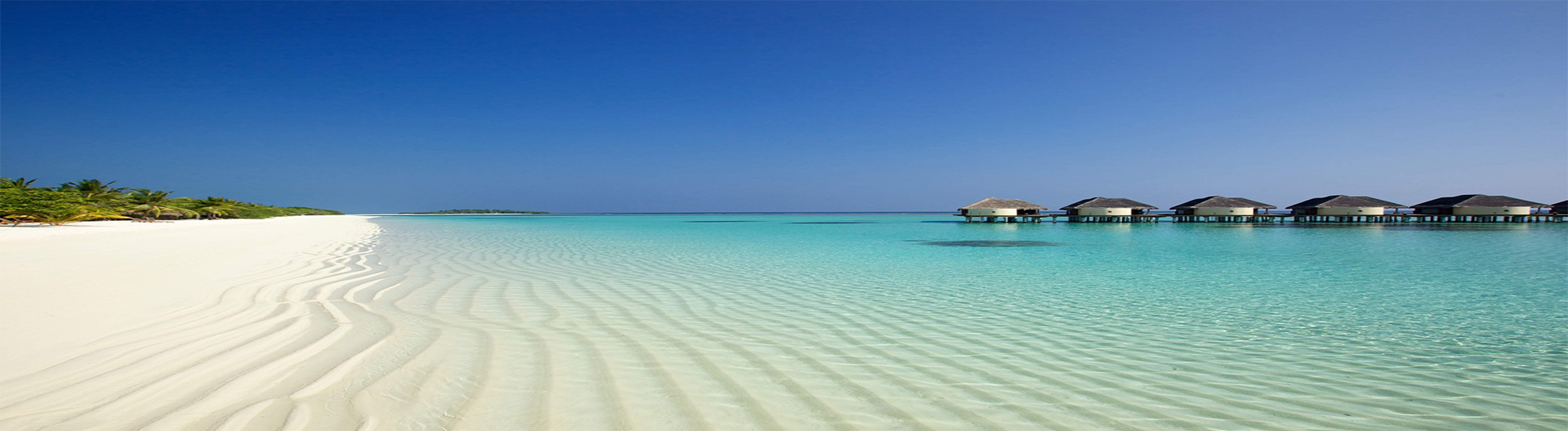 beach ocean sand palm trees hot summer photo wallpaper 1920x1440 ps