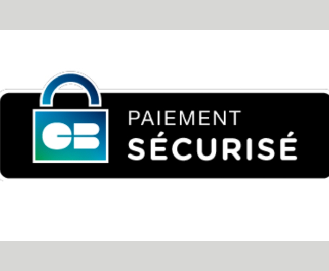 logo paiement