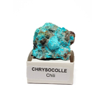 CHRYSO4-01-3