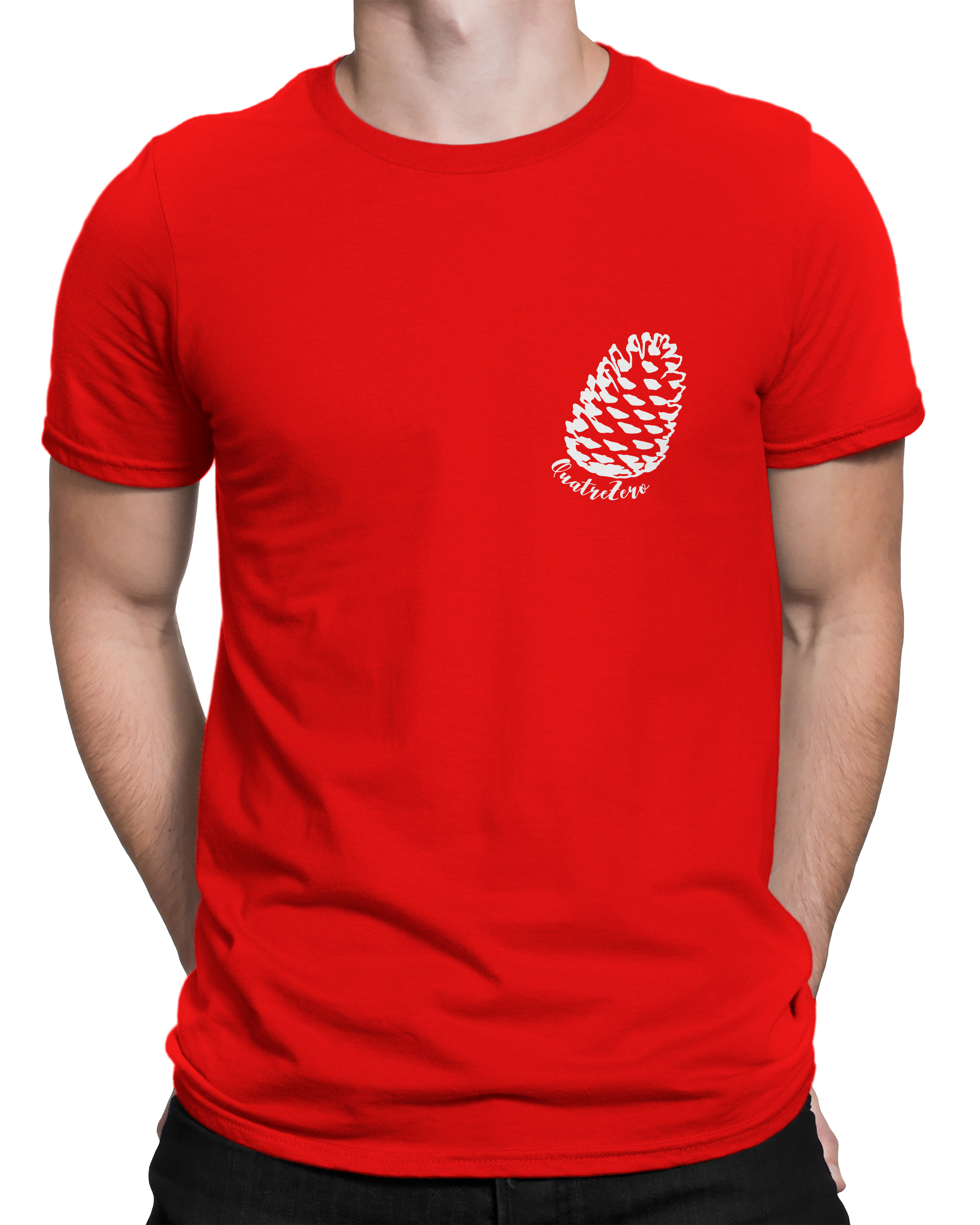 Tee-shirt 40 QuatreZero homme Pigne