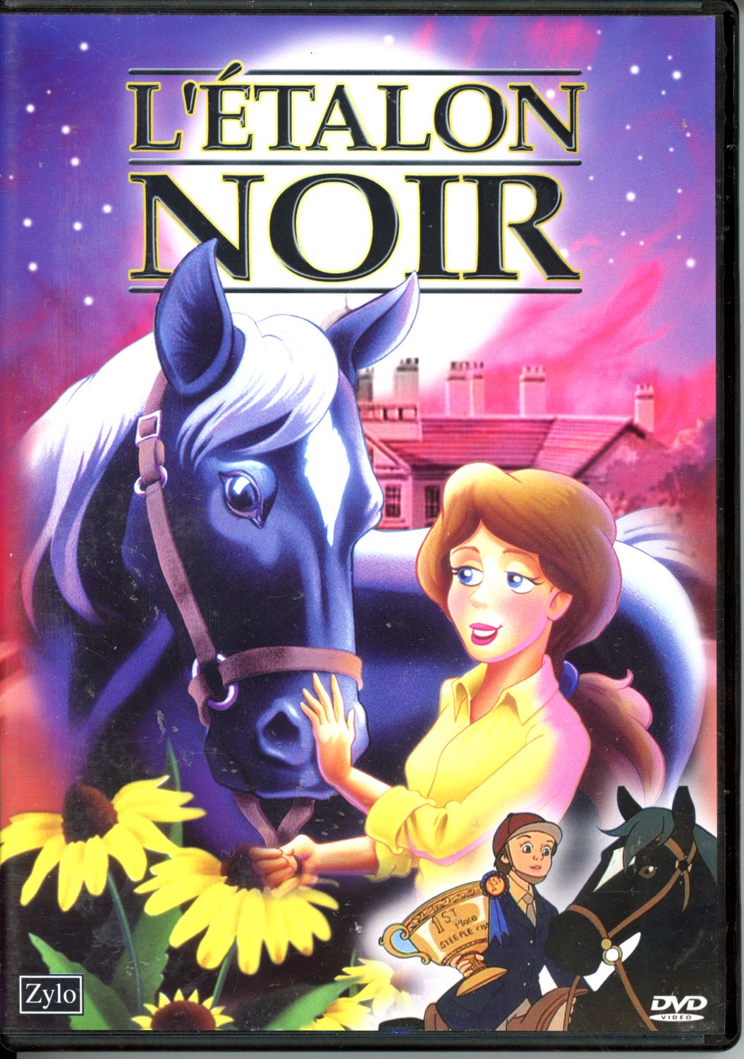 LETALON NOIR DVD OCCASION