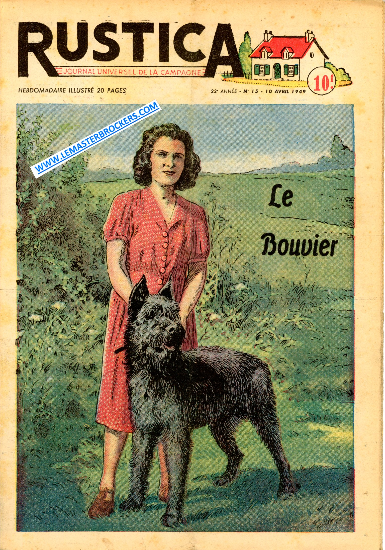 VIEUX JOURNAL RUSTICA 15 DE 1949 - LE BOUVIER - GERANIUM A GRANDES FLEURS - POULE MENEUSE - CULTURE DU MAÏS