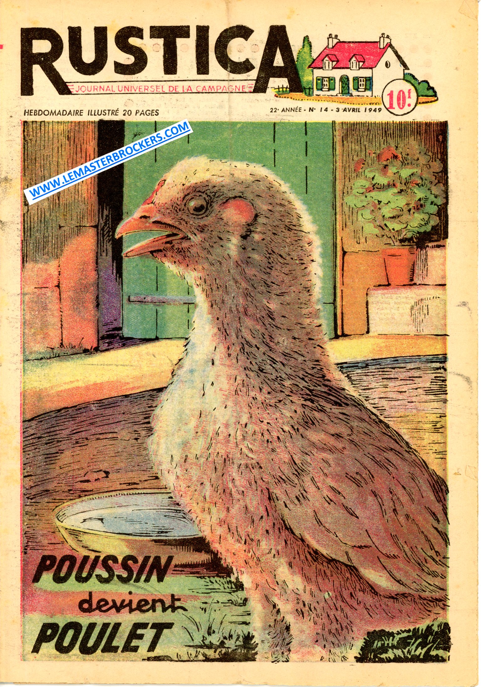 RUSTICA 14 DE 1949 - POUSSIN DEVIENT POULET - ABRE FRUITIER - CHIEN GRIS SAINT-LOUIS - MALADIES POMME DE TERRE