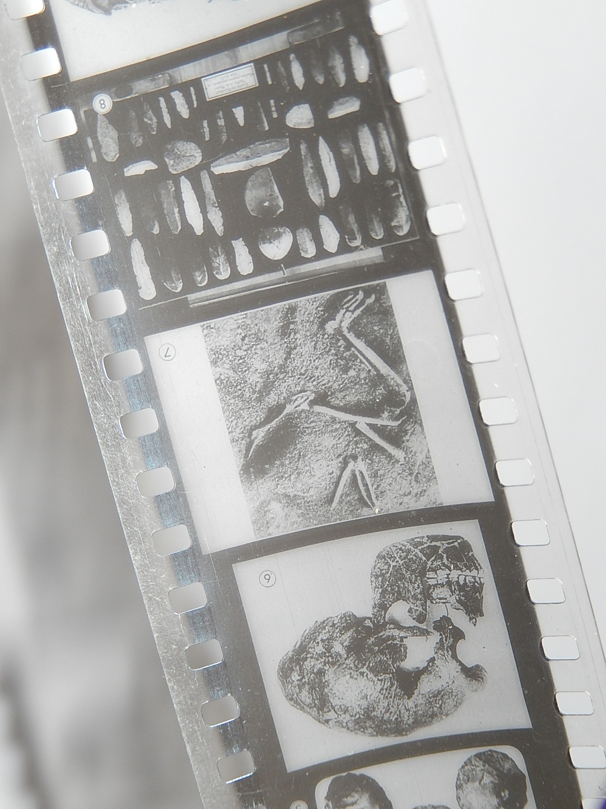 BOBINE FILM FIXE LA PREHISTOIRE - SERIE ANTIQUITE