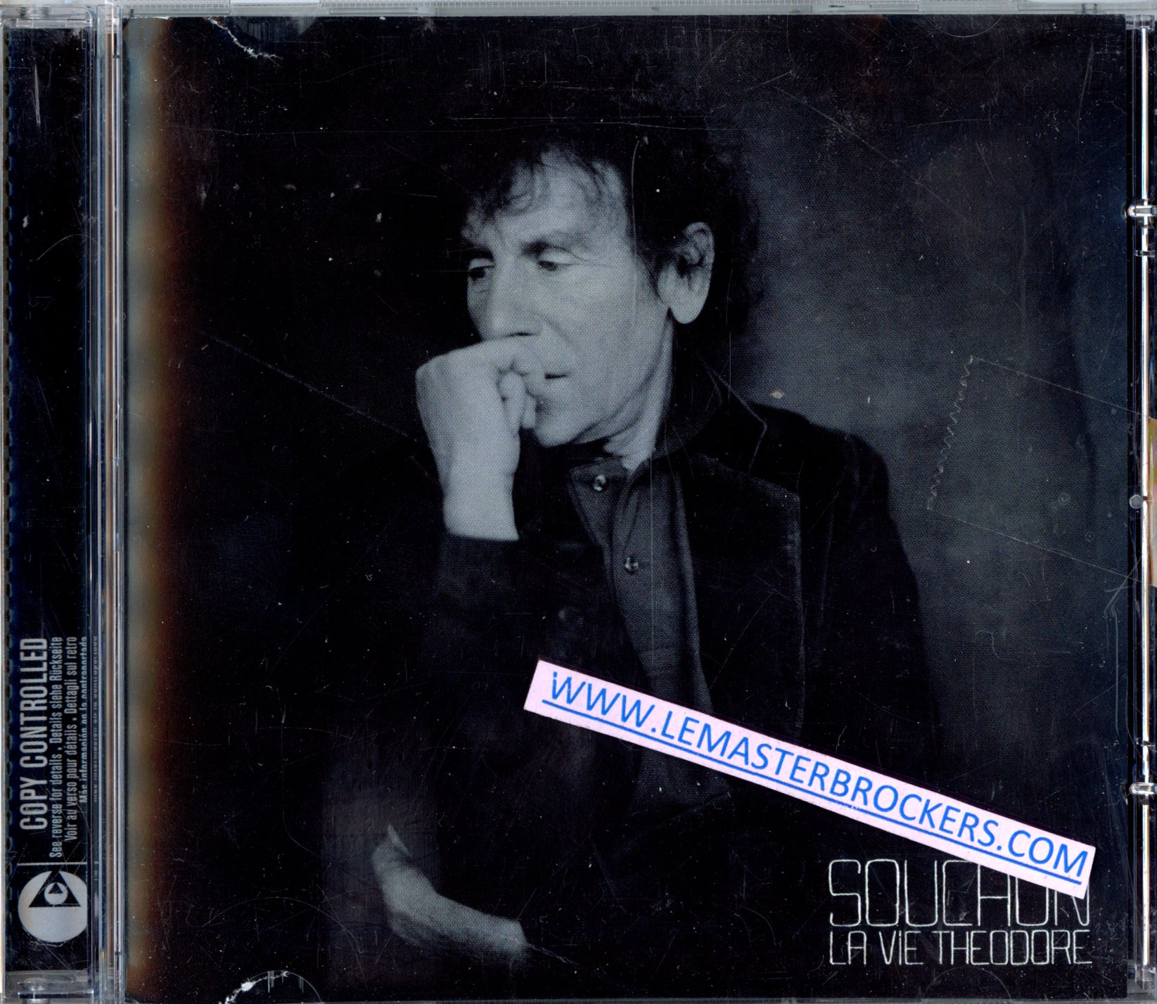 ALAIN SOUCHON LA VIE THEODORE