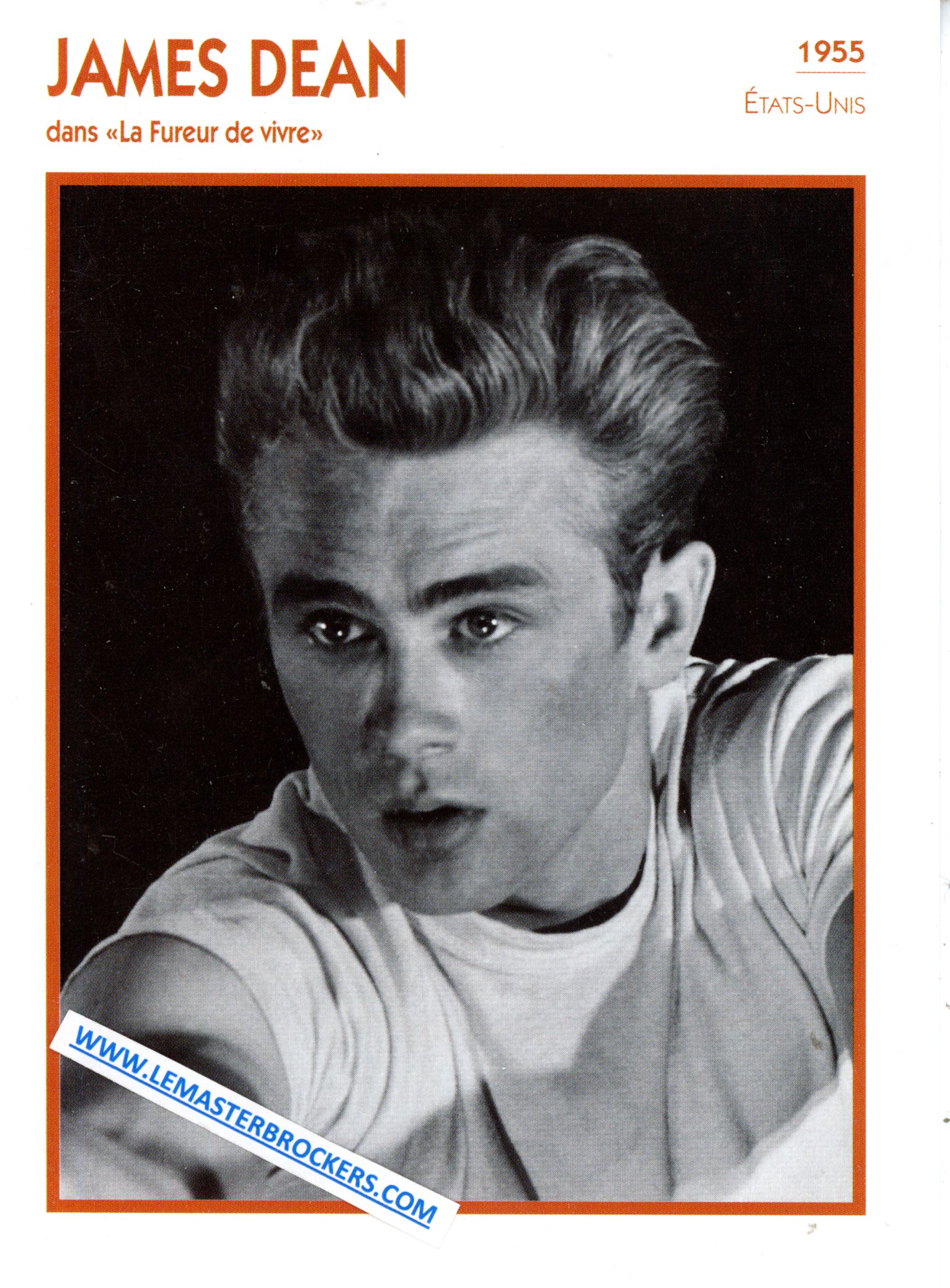 JAMES DEAN DANS LA FUREUR DE VIVRE 1955 - FICHE ACTEUR