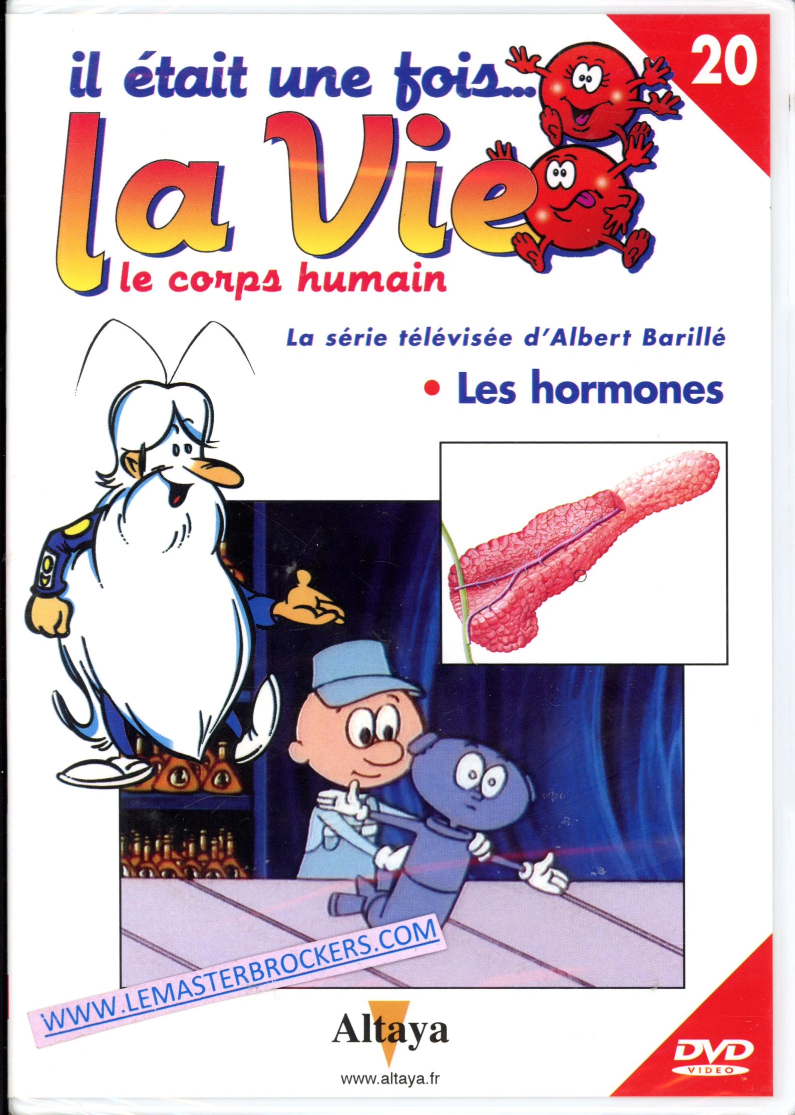 IL ETAIT UNE FOIS LA VIE - LES HORMONES - BARILLE ALBERT