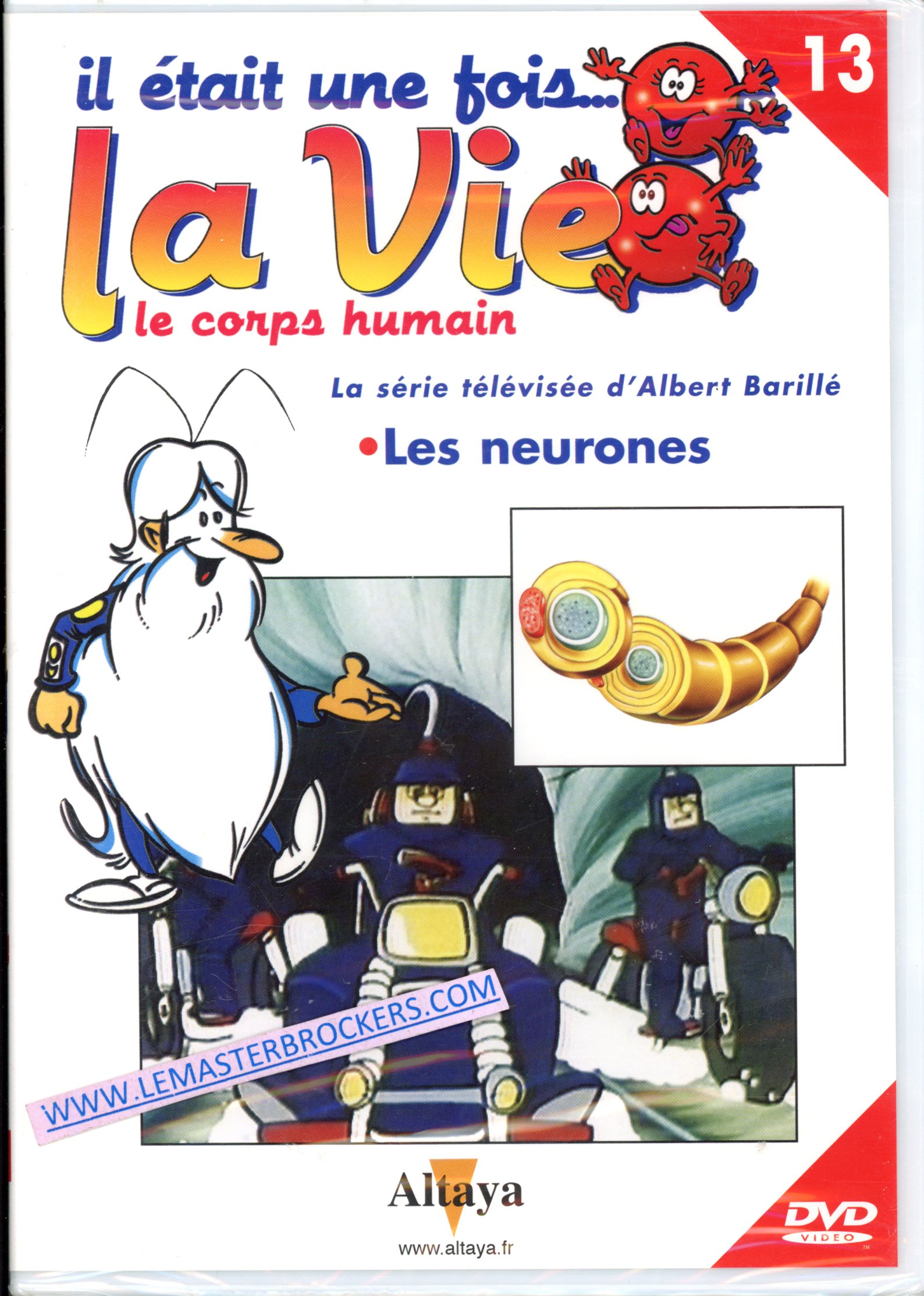 IL ETAIT UNE FOIS LA VIE DVD 13 LES NEURONES - BARILLE ALBERTT