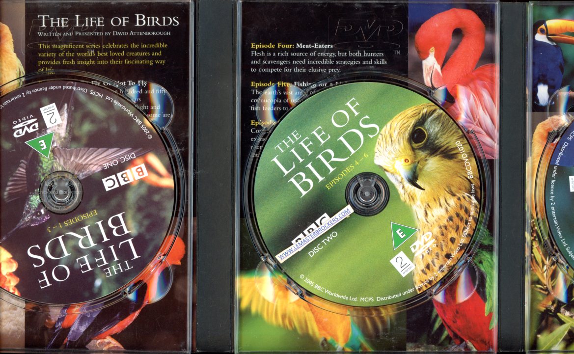 THE LIFE OF BIRDS - DAVID ATTENBOROUGH - DOCUMENTAIRE