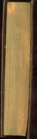 img20062024_007