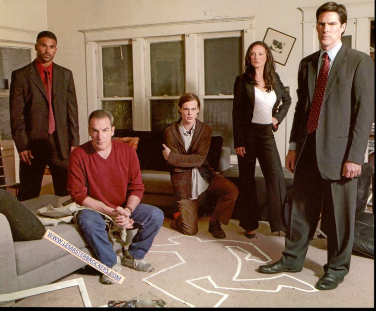 FICHE SERIE TV ESPRITS CRIMINELS - CRIMINAL MINDS