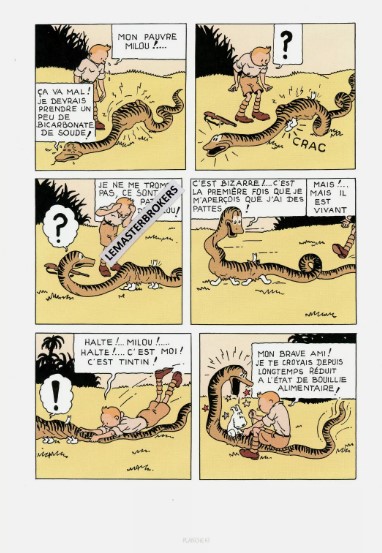 LITHOGRAPHIE TINTIN AU CONGO ORIGINAL PLANCHE 61 DE 2019