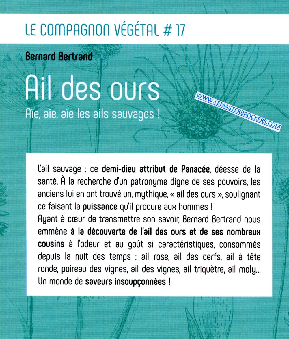 9782359810264 - AIL DES OURS - BERNARD BERTRAND