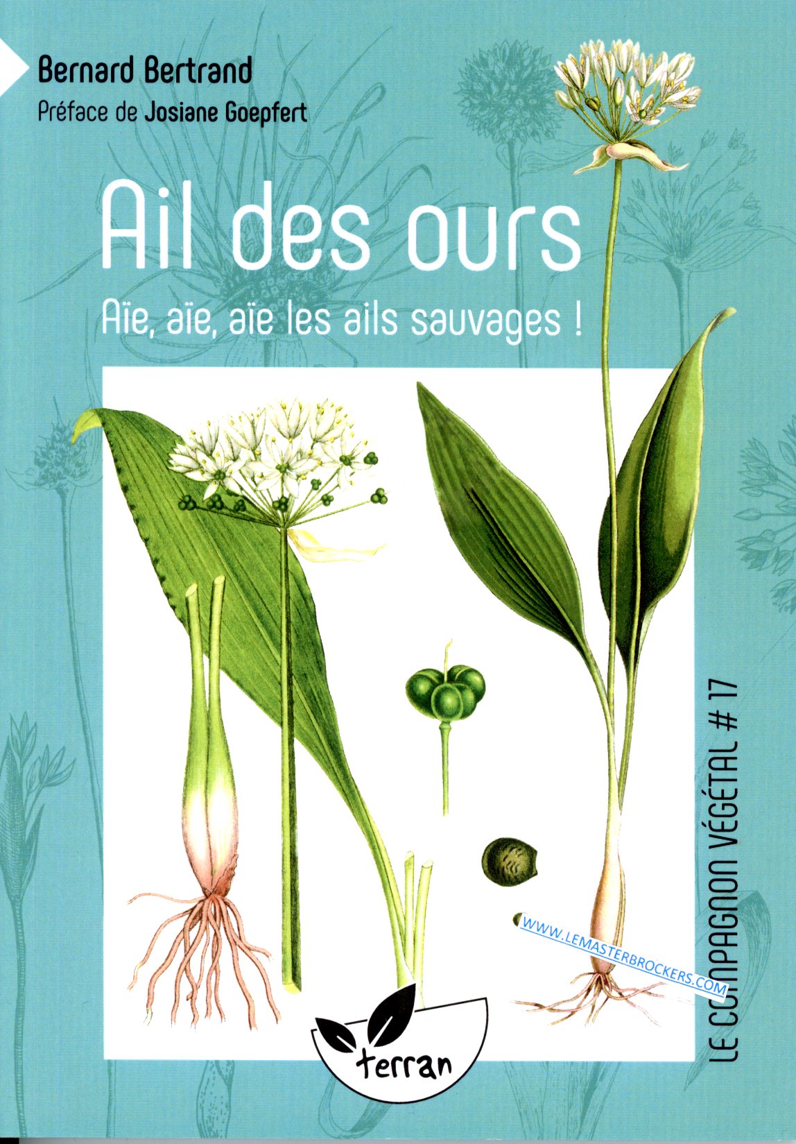 LIVRE AIL DES OURS - BERNARD BERTRAND