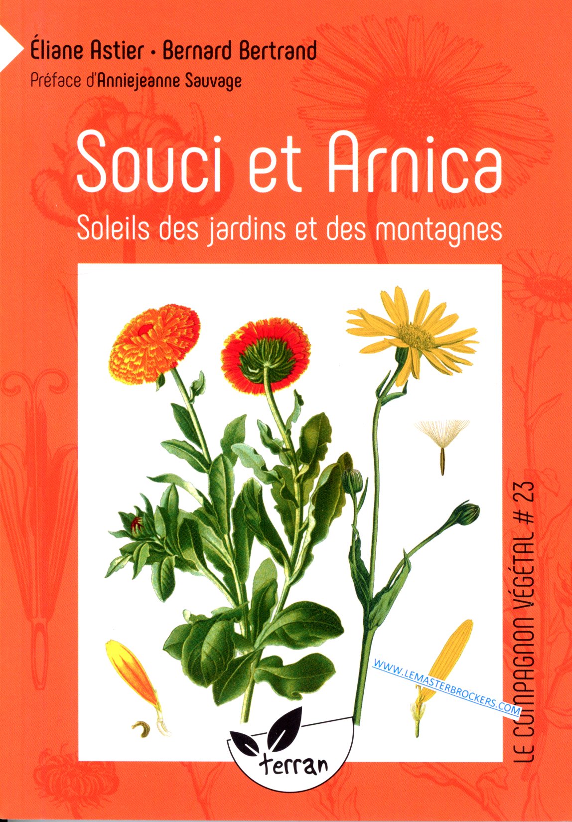 LIVRE SOUCI ET ARNICA - BERNARD BERTRAND