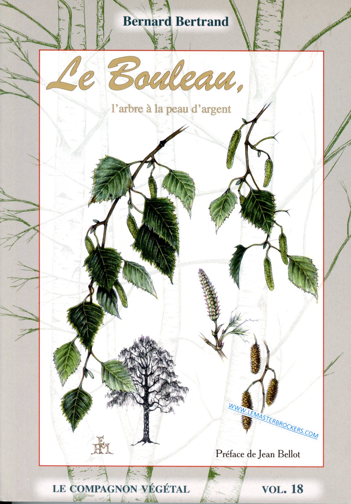 LIVRE LE BOULEAU - BERNARD BERTRAND