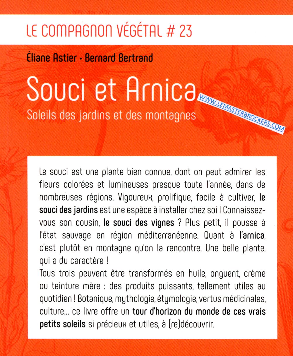 9782359811407 - SOUCI ET ARNICA