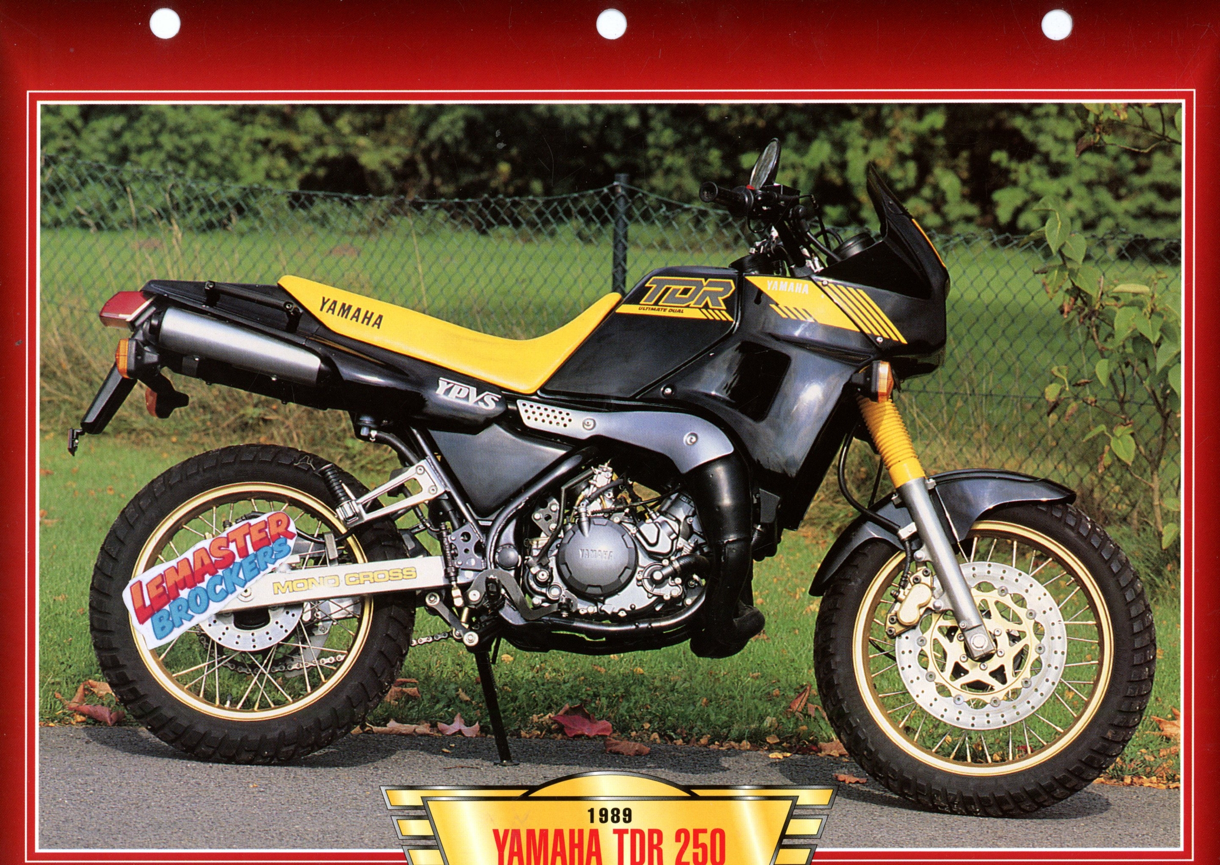FICHE MOTO YAMAHA TDR 250 1989