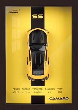 CADRE 3D CAMARO