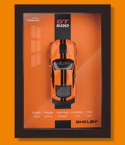 CADRE 3D FORD MUSTANG GT500 SHELBY