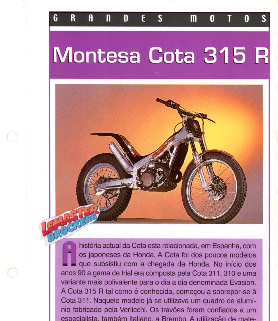 FICHE MOTO MONTESA COTA 315 R