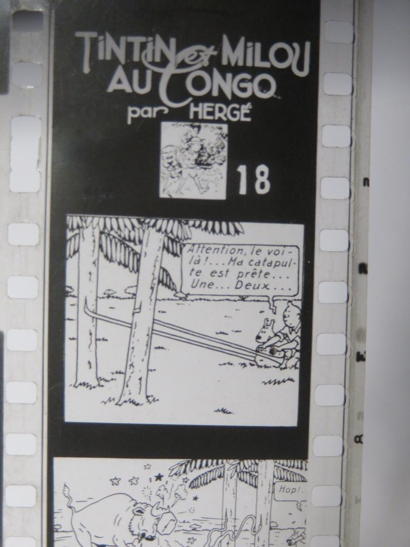 TINTIN AU CONGO 1950 FILMS FIXE