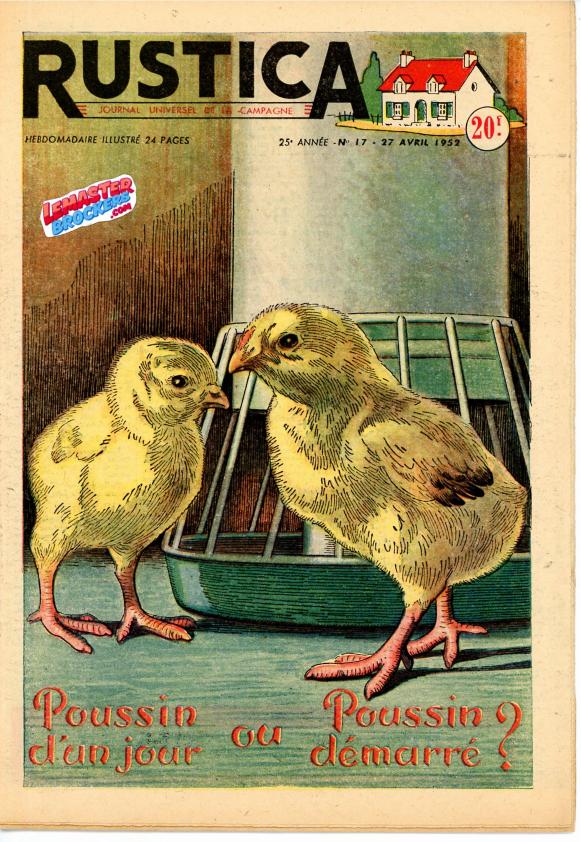 rustica-1952-n17-poussins-elevage-couverture